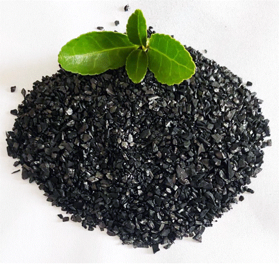 Силвер импрегнирани активни угљеник